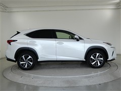 NX300h バージョンL