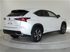 NX300h バージョンL