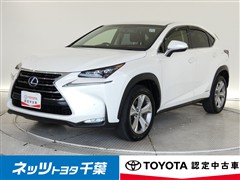 NX300h バージョンL
