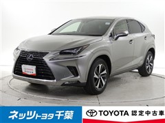 レクサス NX300h I-PKG
