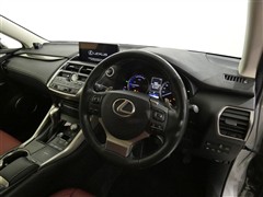 NX300h I-PKG