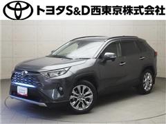 ＲＡＶ４