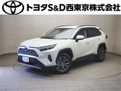 ＲＡＶ４