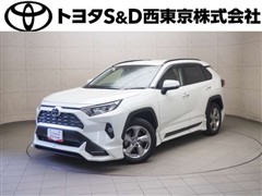 RAV4 G
