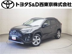 ＲＡＶ４
