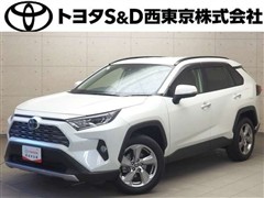 ＲＡＶ４