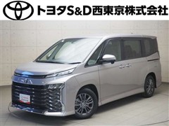 トヨタ ヴォクシー S-G