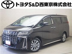 アルファードSタイプゴールド2