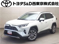 RAV4 G Zパッケージ