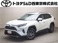 RAV4 G