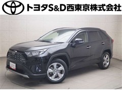 RAV4 G