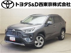 RAV4 G