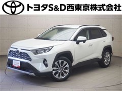 RAV4 G Zパッケージ