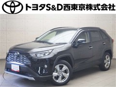 RAV4 G