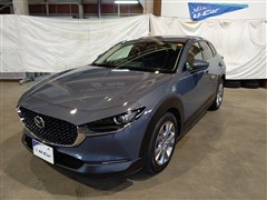 CX-30 20S Pro TS
