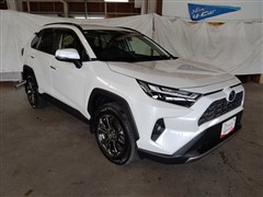 RAV4 ハイブリッドG