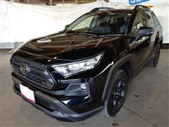 RAV4 アドベンチャー オフロート