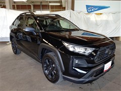 RAV4 アドベンチャー オフロート