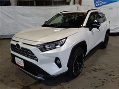 RAV4 G Zパッケージ