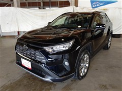 RAV4 G Zパッケージ