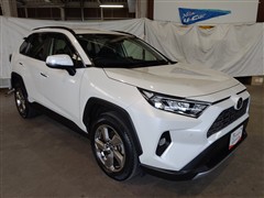 RAV4 G