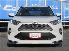 RAV4 G