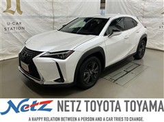 UX250h ブラウンエディション