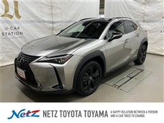 UX250h アーバンエレガンス