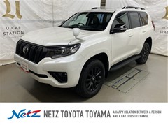 ランクル プラド TX LマッドB