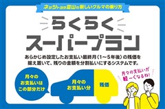 ヴィッツ F セーフティED3