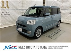 ムーヴキャンバス セオリー G