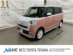 ムーヴキャンバスストライプスGt