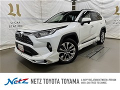RAV4 G Zパッケージ