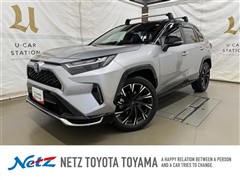 トヨタ RAV4 PHV ブラックトーン