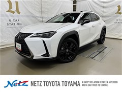 UX250h アーバンエレガンス