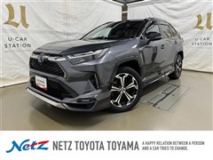 トヨタ RAV4 PHV ブラックトーン