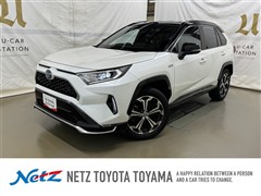 トヨタ RAV4 PHV ブラックトーン