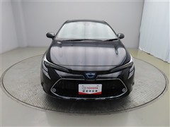 カローラツーリングHEV WxB