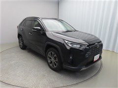 RAV4 G 4WD