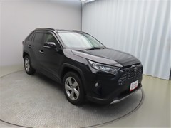 RAV4 G  4WD