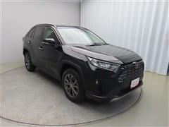 RAV4 G 4WD
