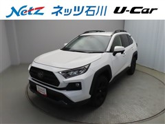 RAV4 アドベンチャーオフロード