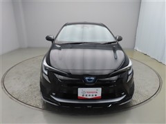 カローラツーリングHEV WxB