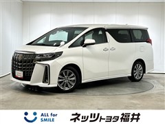 アルファード Sタイプゴールド2