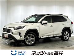 RAV4 HEV G