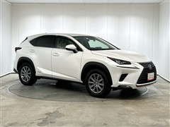 NX300h Iパッケージ