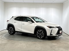 UX250h バージョンC