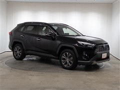 RAV4 HEV G E-Four