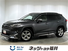 RAV4 HEV G E-Four