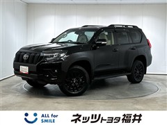 ランクルプラドTX LマットBK E
